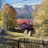 Teren intavilan de vanzare in Busteni, zona Zamora (oportunitate)